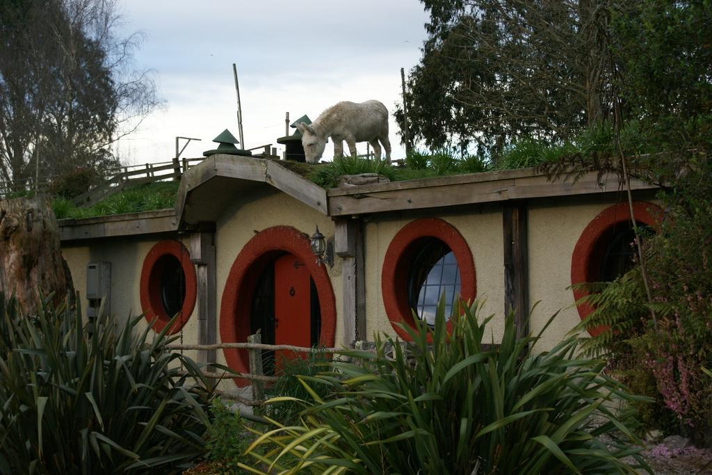 Woodlyn Park Motel Cavernas de Waitomo Exterior foto